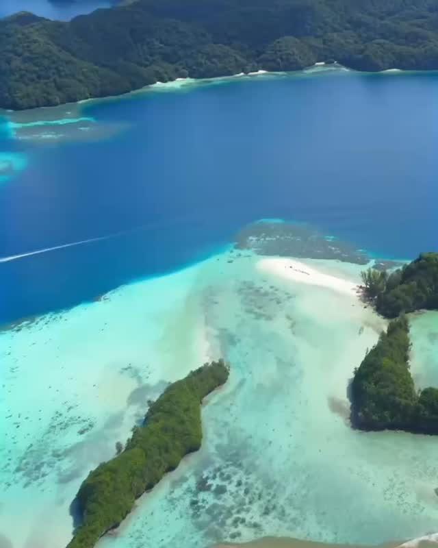 #ソマチッド #珊瑚ソマチッド #パラオ #パラオ珊瑚 #パ...