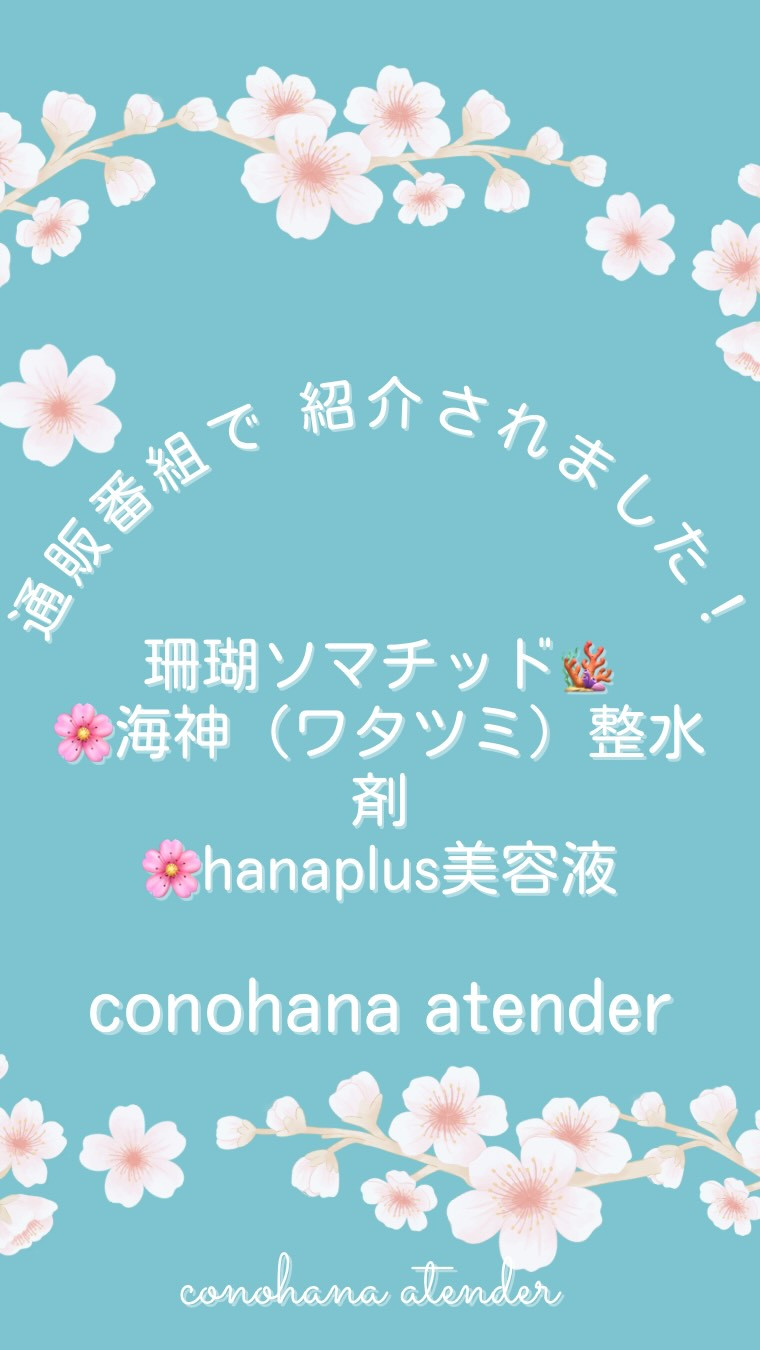 #conohaアテンダー#コノハナアテンダー #珊瑚ソマチッ...
